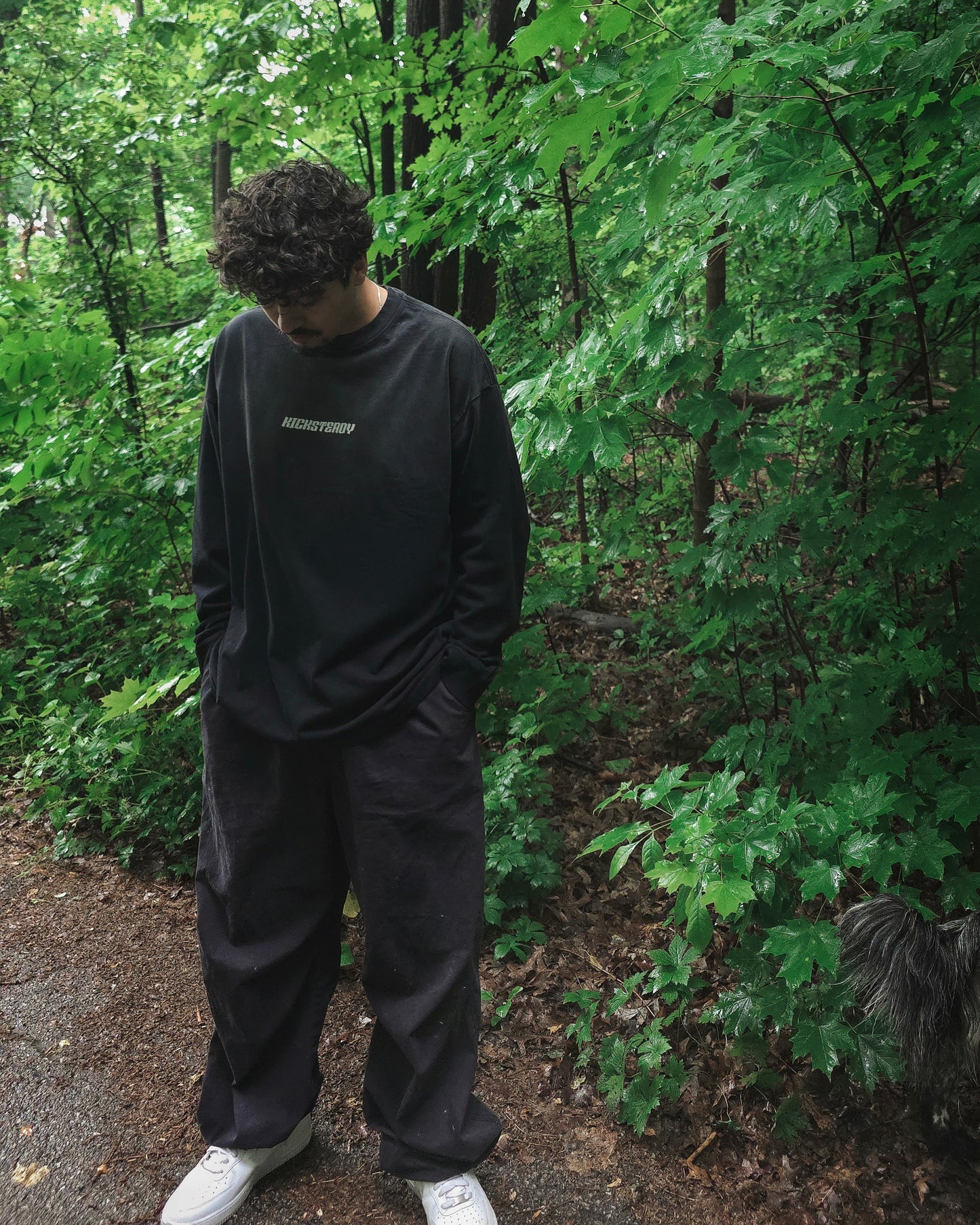 KS - Faded LS